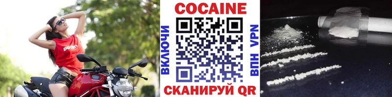 Купить закладки  Среднеколымск  Cocaine FishScale 